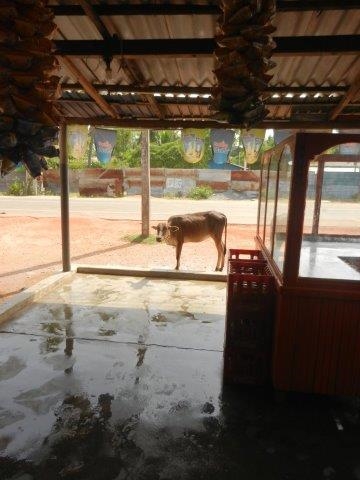 un cliente atipico